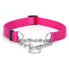 Collier pour Chien Martingale