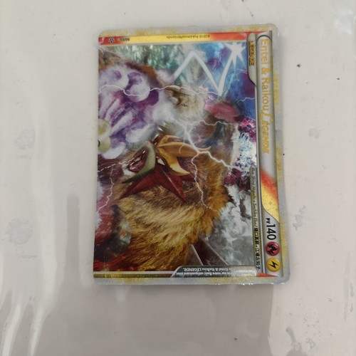 Pokémon entei raikou - pokémon, &