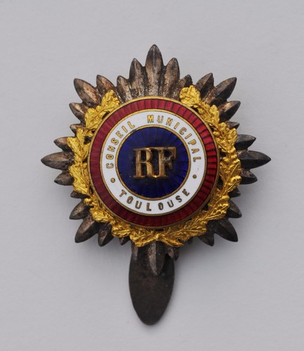 Insigne fonction conseil - insigne,