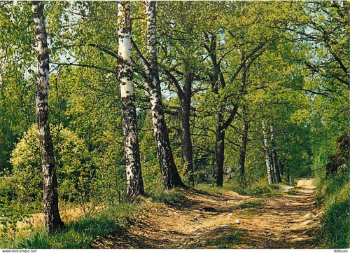 Carte postale finlande - postale,
