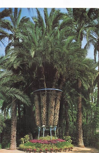 Espagne elche huerto del - espagne-elche-huerto,