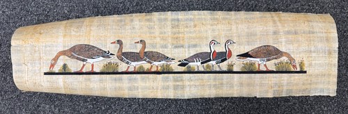 Authentique papyrus égyptien - papyrus,