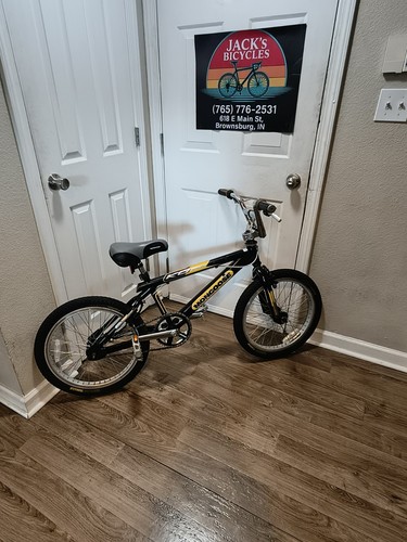 Rare mongoose team issue - rare!,
