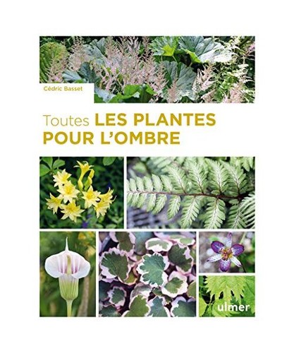 Toutes les plantes pour