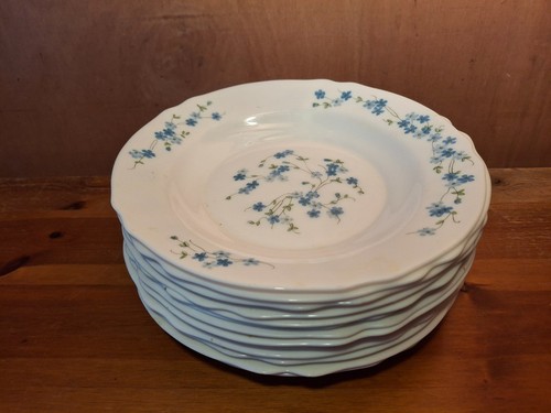 Arcopal myosotis lot 13 - -,