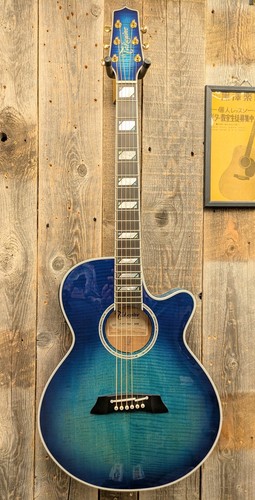 Takamine tdp181ac sbb acoustic - takamine,