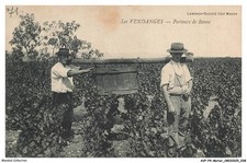 AVPP4-0202-METIER - Les