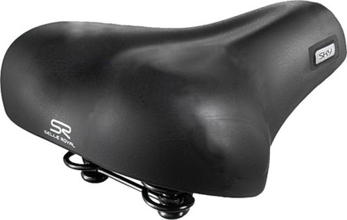 326 174 selle royal - city, /
