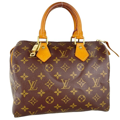 Sac main louis vuitton - main,