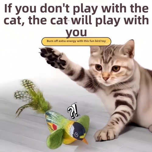 Jouet interactif pour - , chat