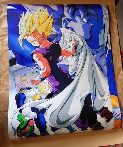 Dragon ball affiche b2 - dragon,