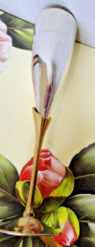 Flute coupe champagne - coupe, à