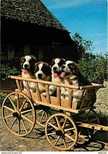 Animaux - Chiens - Saint Bernard - Chiots - Charrette - Carte Neuve - CPM - Voir