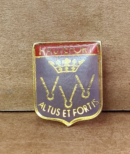 Pin épinglette vintage - épinglette,