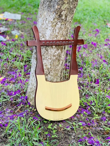 Rosewood string harp - string,