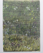 Jachere Technique mixte sur