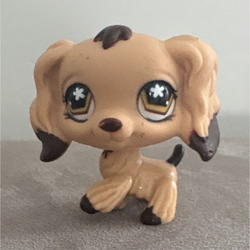 Authentic lps littlest - authentic,