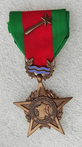 Medaille campagne rhin - campagne,
