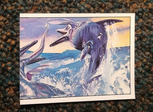 Panini animaux - panini,