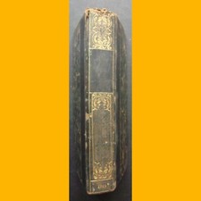 Collection Nymphée APHRODITE