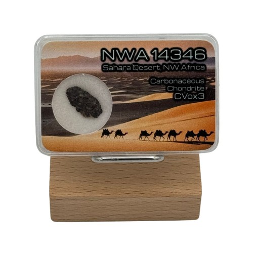 Météorite nwa 14346 - météorite,
