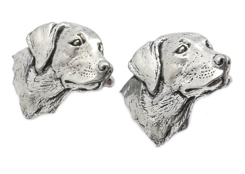 Chien labrador étain - Étain, anglais