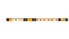 Tanpura naturel droitier en
