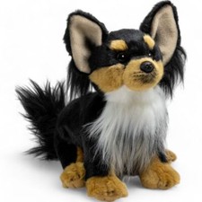 Chihuahua assis noir-marron