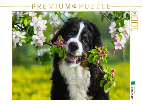 Calvendo puzzle ein - calvendo,