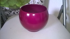 Pot violet