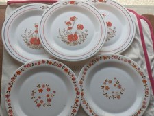 Lot 5 Assiettes Dépareillées Arcopal Vintage Cuisine Déco Rétro Motif Floral
