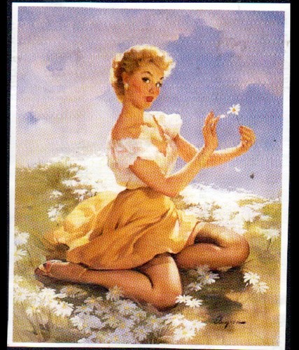Image pour adulte sage - sage, /