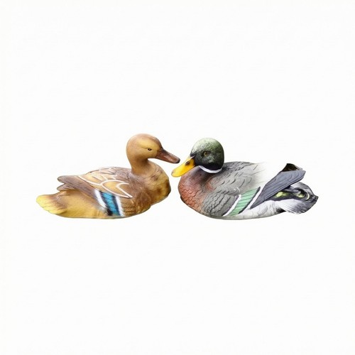 Canards mandarins flottants - canards,