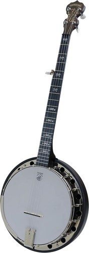 Deering artisan goodtime - artisan, ii