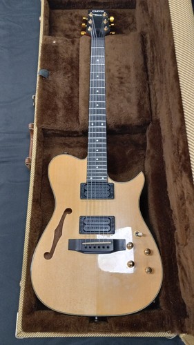 Carvin ae185 acoustic - carvin,