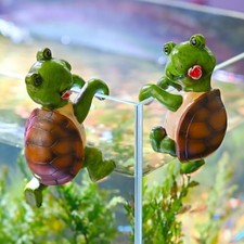 Pot à tortue grimpante