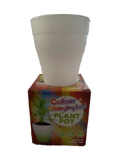 Pot de fleurs blanc lumineux