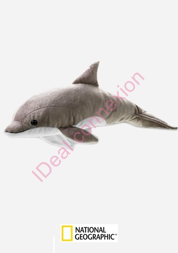 Peluche dauphin national - peluche,