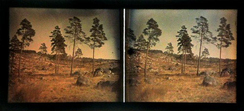 Bois-Le-Roi.Seine-et-Marne.4