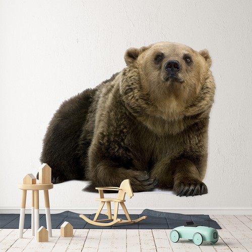 Ours brun c40 animal - ours,