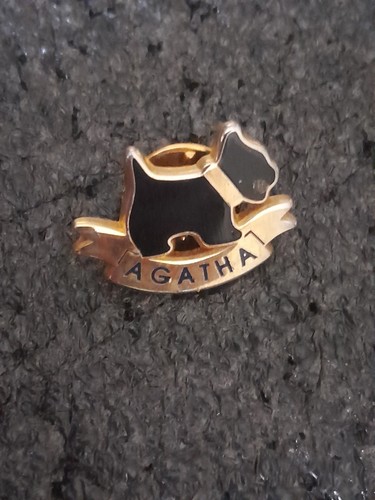 Pin pins broche - agatha, paris