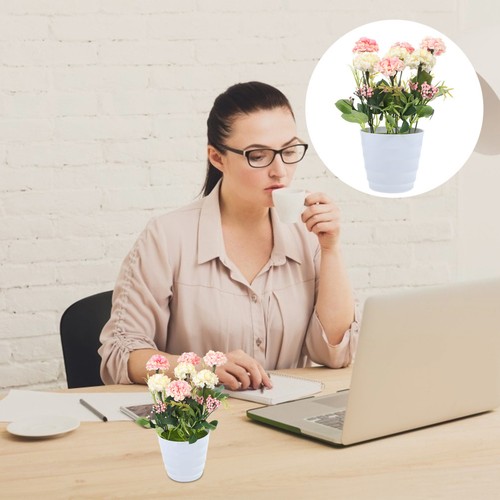 Fausse plantes pot de - ,