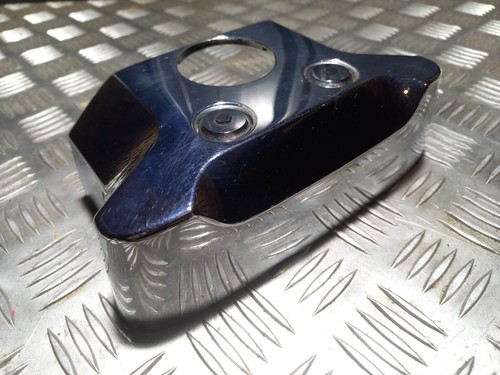 Chrome protection culasse