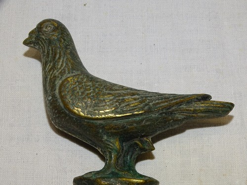 Ancien petit sujet - -ancien, pigeon