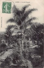 Algérie - L'ARBA - Le petit