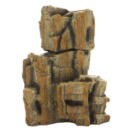 Hobby fossile roche - hobby,