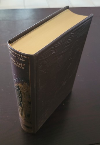 Une page amour zola jean - d'amour,