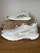 Nike Pegasus Trail 5 GTX Homme