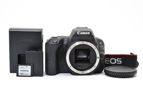 Mint canon eos kiss x9 - ],