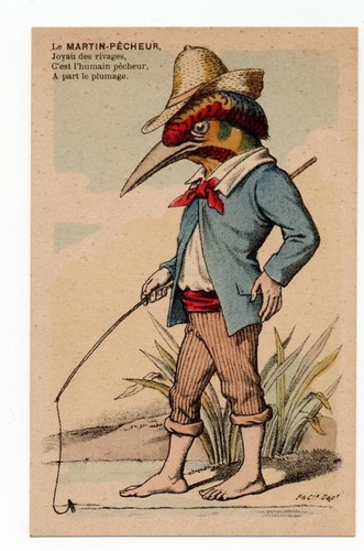 Oiseau humanisé - ,